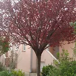 Apartment Eja *