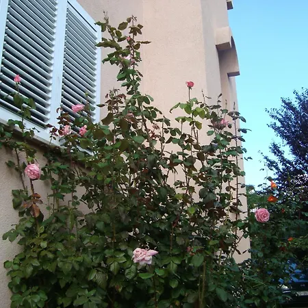 Διαμέρισμα Eja Ζαντάρ