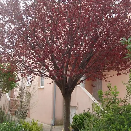 Apartment Eja *