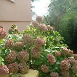 Eja Задар